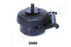 GOM-2586_2.JPG