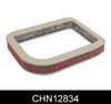 CHN12834_633940.JPG