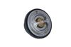Termostat, chladivo 725215