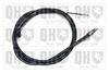 QH_BC3784.JPG