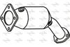 P9741CAT.JPG