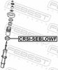 CRSI-SEBLOWF_1.JPG