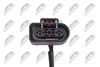 BPP-VW-001_2-WM.JPG