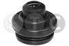 маншон, полуоска