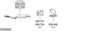 SYS26204.JPG