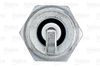 VALEO_SPARK_PLUG_246868_03.JPG