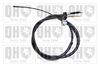 QH_BC2416.JPG