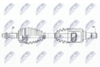 NPW-TY-125_9-WM.PNG