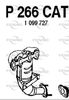 P266CAT.JPG