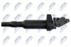 ECZ-BM-004_3-WM.JPG