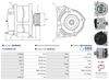 A0568(SEG)_256960.JPG