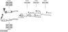SYS13040.JPG