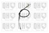 QH_BC3355.JPG