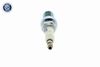 запалителна свещ