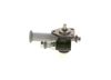 Bosch Fuel Pump 9 441 610 438