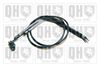 QH_BC4012.JPG