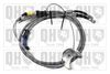 QH_BC2811.JPG