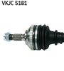 VKJC 5181_2.JPG