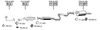 MA112035.BMP