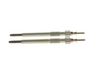 Diesel Glow Plug 0250202937