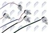 EAG-MS-000_2-WM.JPG