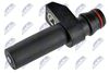 ECP-ME-004_2-WM.JPG