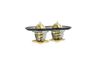 Termostat, chladivo 725374