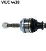 VKJC 4438_2.JPG