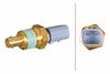 Sensor, Kühlmitteltemperatur