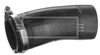 BTH1503_1174334.JPG