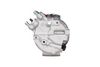 366202421_BACK_TD_1.JPG