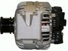 AG1540.JPG