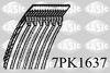 7PK1637.JPG