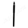 MM-00956_3.JPG
