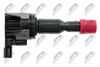 ECZ-HD-022_3-WM.JPG