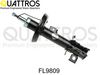 fl9809.JPG