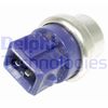 Датчик, температура теплоносія DELPHI TS10281