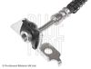 Blue Print Brake Hose ADG053207