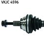 VKJC 4596_2.JPG