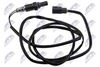 ESL-PL-020_1-WM.JPG