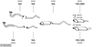 SYS04293.JPG
