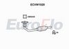 ecvw1020.JPG