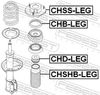 CHSS-LEG_1.JPG