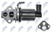 EGR-AU-009_3-WM.JPG