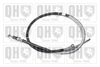 QH_BC3468.JPG