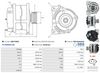 A0677(SEG)_256960.JPG