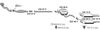 070527.JPG