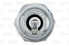 VALEO_SPARK_PLUG_246905_03.JPG