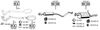 OP055205.BMP