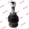 KYB-KBJ4153.JPG